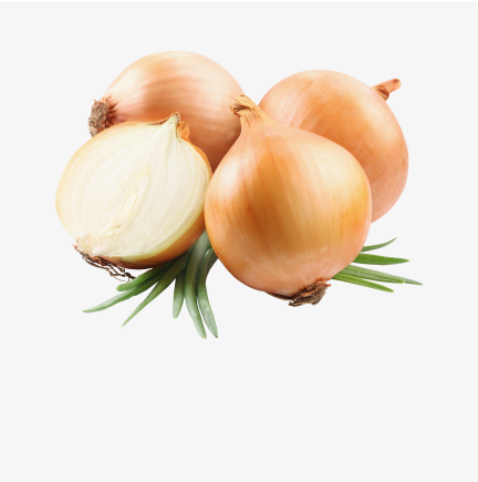 Fresh white onions