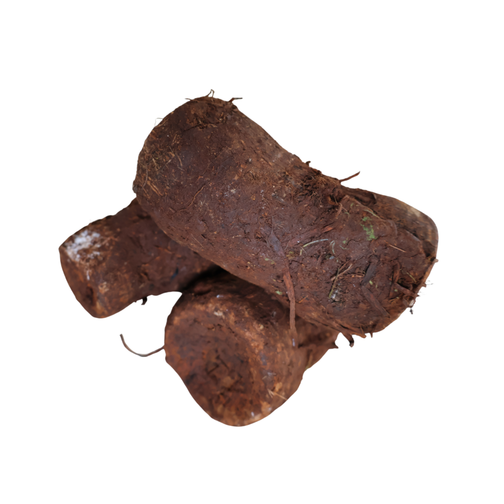 Fresh arrowroots (Ngwashe)