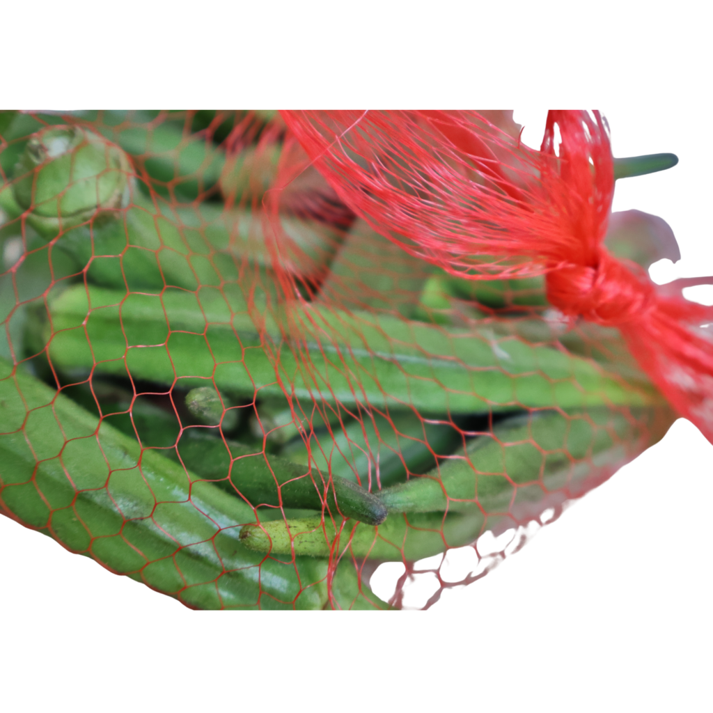 Fresh green okra