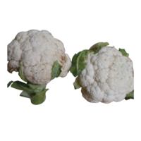 Fresh cauliflower